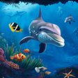 Иконка программы: Aquarium fish live wallpa…
