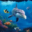 Aquarium fish live wallpapers