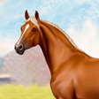 プログラムのアイコン：Horse Racing World Jumpin…