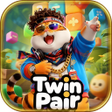 Icoon van programma: Twin Pair