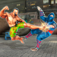 プログラムのアイコン：Kung Fu Karate  Fighting …