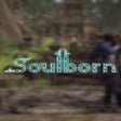 프로그램 아이콘: Soulborn