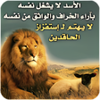 程序图标：حكمة لمدى الحياة