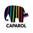 ไอคอนของโปรแกรม: CAPAROL