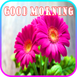 Programikonen: Good Morning image 2020
