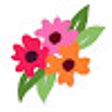 Programikonen: Sonlet Facebook Photo Del…