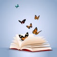 プログラムのアイコン：Bible study for women Chr…