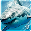 Shark HD Live Wallpaper icon