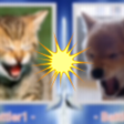 Programikonen: Picture fight FreeEdition