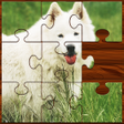 Programikonen: Jigsaw Puzzle Games