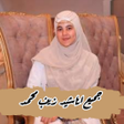 Иконка программы: اناشيد زينب محمد بدون نت …