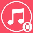 Icon of program: Wrist Video Player