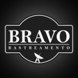 Icon of program: Bravo Rastreamento