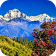Programikonen: Nepal Live Wallpaper
