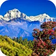 Nepal Live Wallpaper
