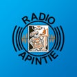 Programikonen: Apintie