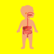 Biểu tượng của chương trình: Learning body parts for k…