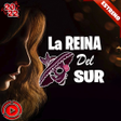 程序图标：Reina del sur Narco Serie…