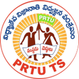 Иконка программы: PRTU TS