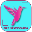 Bird Identification Scanner