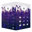 Programikonen: AppLock Theme Lavender