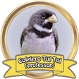 Ícone do programa: Canto de Coleiro Tui Tui …