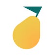 Icono de programa: Pyrus  Team Communication