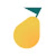 Icon of program: Pyrus