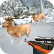 Extreme Deer Shooting