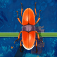 Icoon van programma: Beetle Parking Match