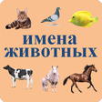 程序图标：The names of the animals …