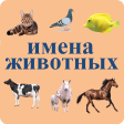 The names of the animals in Russian language