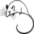 Icon of program: AutoScrolling