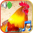 Symbol des Programms: Funny Alarm Clock Rington…