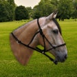 Programın simgesi: Neigh - Horse Sounds