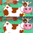 Programikonen: Find the Differences - An…