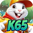 Иконка программы: K65 Squirrel