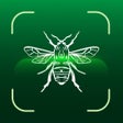 Ícone do programa: Insect Bug Identifier: Sp…