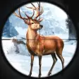 Hunting Master Hunter Game 3d