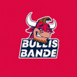 程序图标：Bullis Bande App