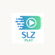 程序图标：SLZ PLAY