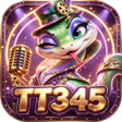 Symbol des Programms: TT345Tune