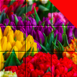 プログラムのアイコン：Jigsaw Flower  Plant Puzz…