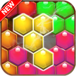 Programikonen: Block Hexa Puzzle