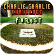 Charlie Charlie Challenge ( Forest )