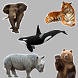 程序图标：Animals Stickers