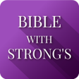 Icoon van programma: Bible Concordance  Strong…