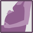 プログラムのアイコン：Pregnancy Countdown