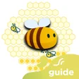أيقونة البرنامج: Guide Honey Gain - How To…