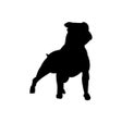 أيقونة البرنامج: Cuidado Con el Perro